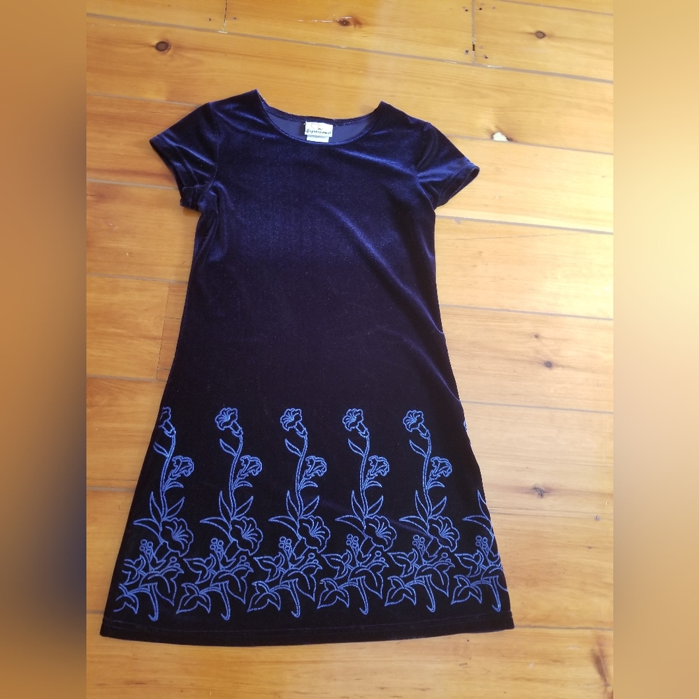 Velvet Dress.  Size 10